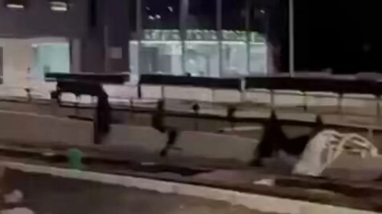 Almanya’da Korku Dolu Anlar: Sinema Salonunda Silah Sesleri