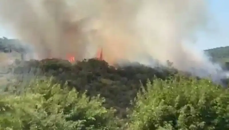 İstanbul’da Orman Yangını Yaşandı: Acil Tahliye Süreci Başladı