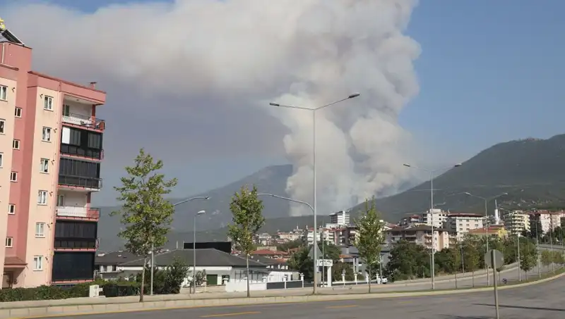 Denizli Orman Yangınında Şüpheli Gözaltına Alındı: Detaylar Ortaya Çıktı