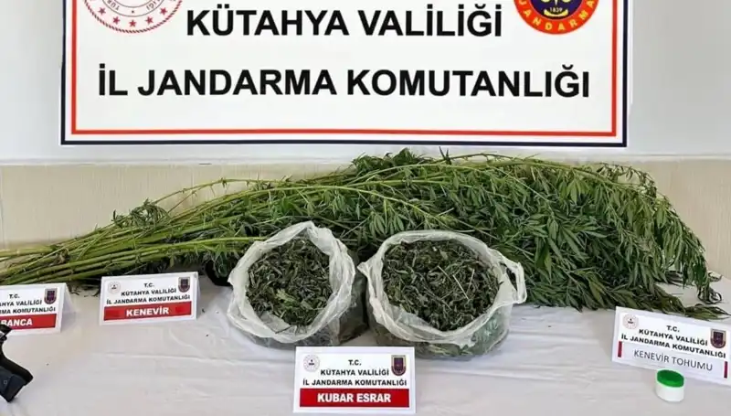 Kütahya'da Uyuşturucu Operasyonu: Operasyonun Detayları ve Gözaltında Olan Kişi